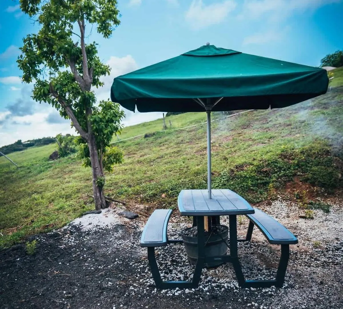 אתר קמפינג קולברה Scenic Serene Rv - Panoramic Views